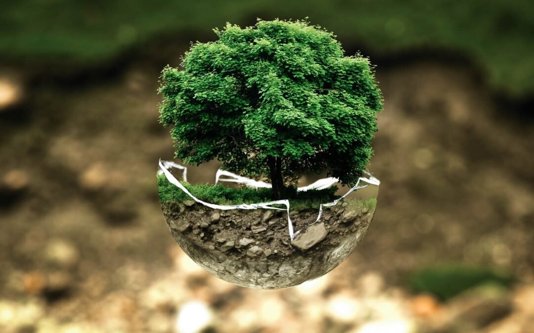 L’enseignement et la formation dans la transition écologique et sociétale